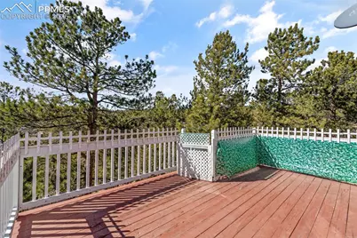 487 Maroon Lake Circle, Divide, CO 80814 - Photo 29