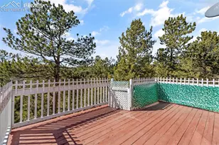 487 Maroon Lake Cir, Divide, CO 80814 - Photo 29