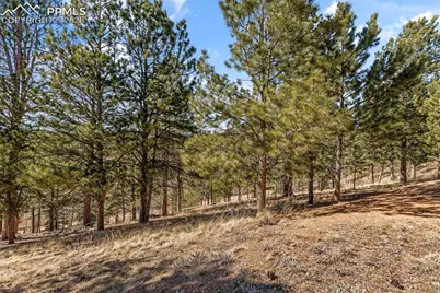 487 Maroon Lake Circle, Divide, CO 80814 - Photo 35