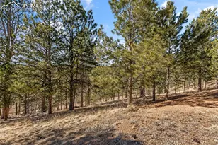 487 Maroon Lake Cir, Divide, CO 80814 - Photo 35