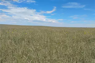 19981 Cloudfield Pt, Colorado Springs, CO 80928 - Photo 25