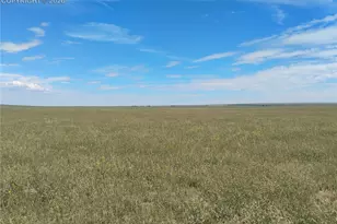 19981 Cloudfield Pt, Colorado Springs, CO 80928 - Photo 27