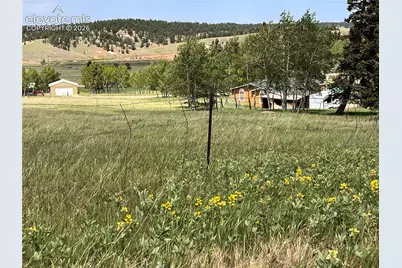 216 Will Scarlet Drive, Divide, CO 80814 - Photo 5