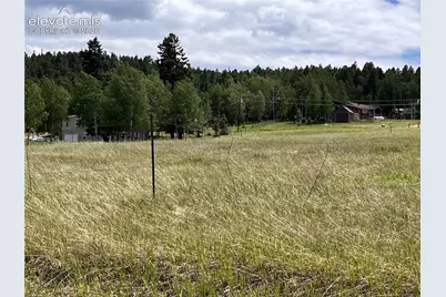 216 Will Scarlet Drive, Divide, CO 80814 - Photo 3