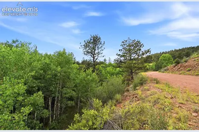 1310 Park Ridge Drive, Guffey, CO 80820 - Photo 25