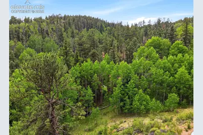 1310 Park Ridge Drive, Guffey, CO 80820 - Photo 33