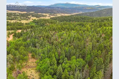 1310 Park Ridge Drive, Guffey, CO 80820 - Photo 9