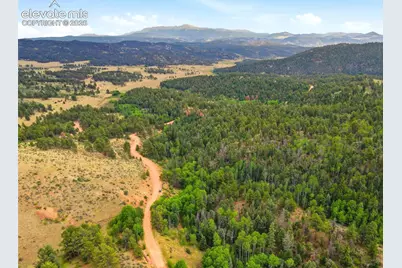 1310 Park Ridge Drive, Guffey, CO 80820 - Photo 5