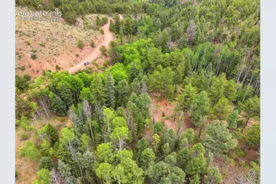 1310 Park Ridge Drive, Guffey, CO 80820 - Photo 3