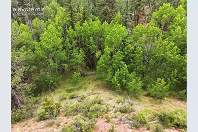 1310 Park Ridge Drive, Guffey, CO 80820 - Photo 31