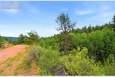 1310 Park Ridge Drive, Guffey, CO 80820 - Photo 17