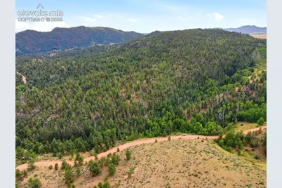 1310 Park Ridge Drive, Guffey, CO 80820 - Photo 13