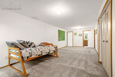 2508 Blazek Loop, Colorado Springs, CO 80918 - Photo 17