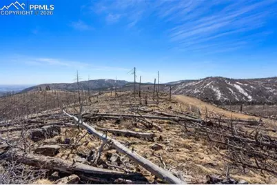 0 Rist Creek Road, Bellvue, CO 80512 - Photo 5