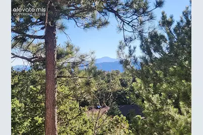 19340 Shadowood Drive, Monument, CO 80132 - Photo 41
