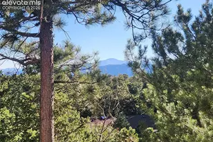 19340 Shadowood Dr, Monument, CO 80132 - Photo 41