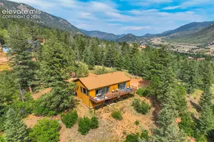 5545 Scout Rdg Trl, Cascade, CO 80809 - Photo 43