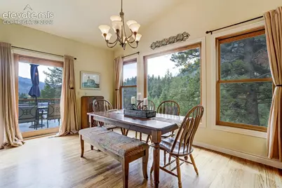 5545 Scout Ridge Trail, Cascade, CO 80809 - Photo 9