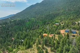 5545 Scout Rdg Trl, Cascade, CO 80809 - Photo 47