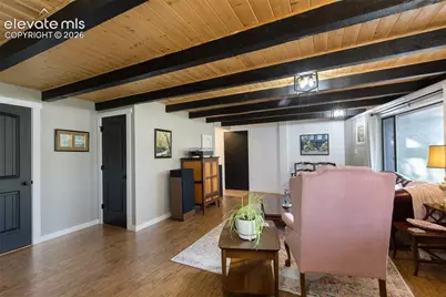 307 Berylium Road, Florissant, CO 80816 - Photo 29