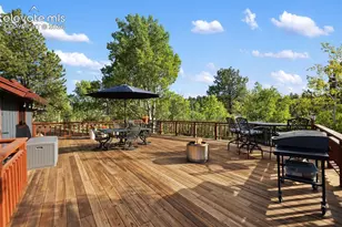 307 Berylium Rd, Florissant, CO 80816 - Photo 47
