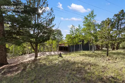 307 Berylium Road, Florissant, CO 80816 - Photo 43