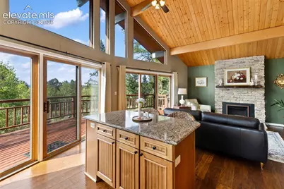 307 Berylium Road, Florissant, CO 80816 - Photo 17