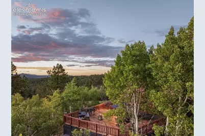 307 Berylium Road, Florissant, CO 80816 - Photo 45