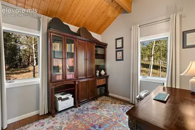 307 Berylium Road, Florissant, CO 80816 - Photo 21