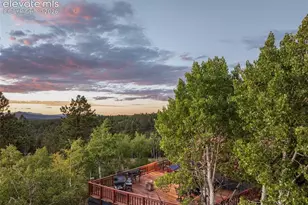 307 Berylium Rd, Florissant, CO 80816 - Photo 45