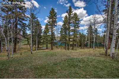 571 Will Scarlet Drive, Divide, CO 80814 - Photo 3