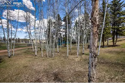 571 Will Scarlet Drive, Divide, CO 80814 - Photo 5