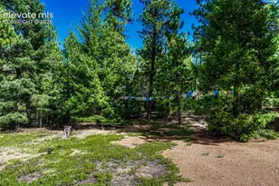 3620 Simon Pt, Colorado Springs, CO 80906 - Photo 27