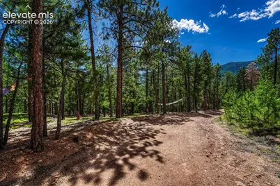 3620 Simon Point, Colorado Springs, CO 80906 - Photo 37