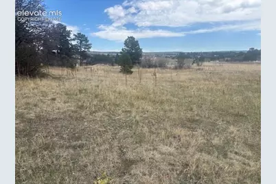 3615 Summertime Court, Monument, CO 80132 - Photo 5