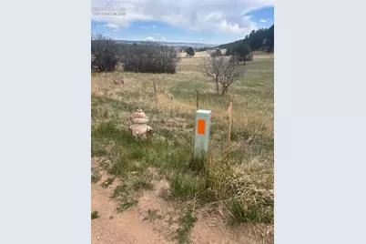 3615 Summertime Court, Monument, CO 80132 - Photo 9