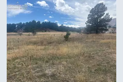 3615 Summertime Court, Monument, CO 80132 - Photo 7