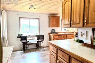 891 S Mountain Estates Rd, Florissant, CO 80816 - Photo 21