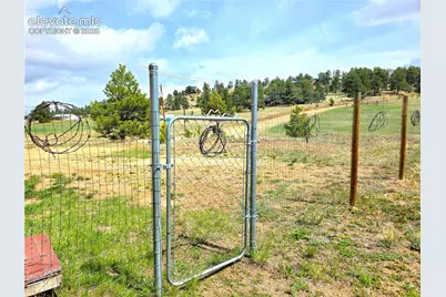 891 S Mountain Estates Road, Florissant, CO 80816 - Photo 31