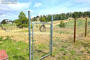 891 S Mountain Estates Rd, Florissant, CO 80816 - Photo 35