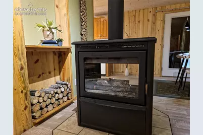 891 S Mountain Estates Road, Florissant, CO 80816 - Photo 5