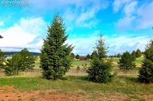 891 S Mountain Estates Rd, Florissant, CO 80816 - Photo 7