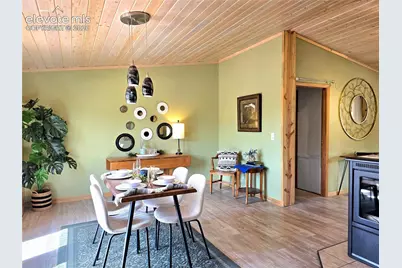 891 S Mountain Estates Road, Florissant, CO 80816 - Photo 11
