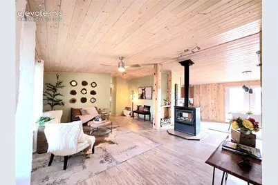 891 S Mountain Estates Road, Florissant, CO 80816 - Photo 7