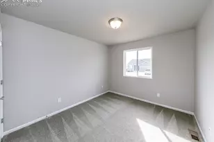 13390 Savannah Falls Ct, Peyton, CO 80831 - Photo 35