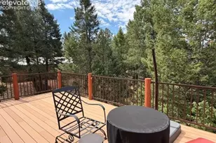 269 Southpark Rd, Florissant, CO 80816 - Photo 47
