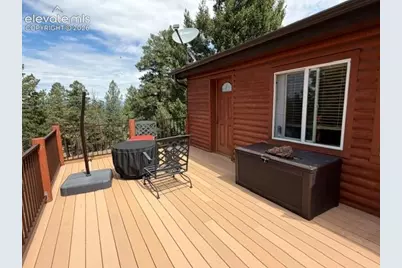 269 Southpark Road, Florissant, CO 80816 - Photo 41