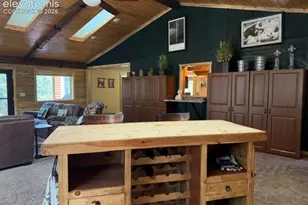 269 Southpark Rd, Florissant, CO 80816 - Photo 19
