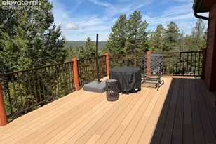 269 Southpark Rd, Florissant, CO 80816 - Photo 33
