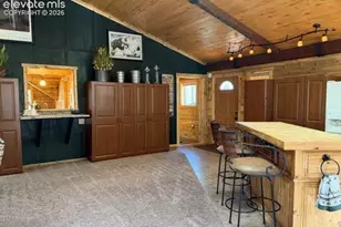 269 Southpark Rd, Florissant, CO 80816 - Photo 9